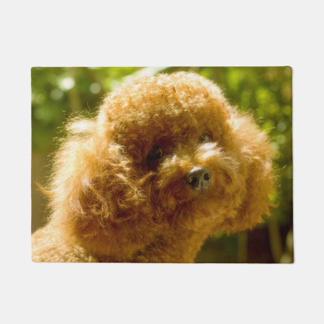 Felpudo Perro Caniche. (Anverso)