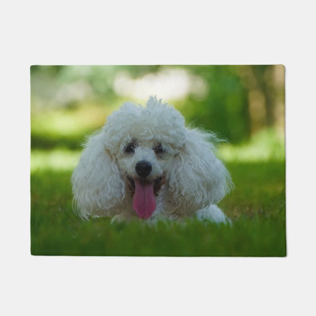 Felpudo Perro Caniche. (Anverso)