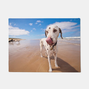 Felpudo Perro dálmata en la playa