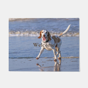 Felpudo Perro de la raza del beagle