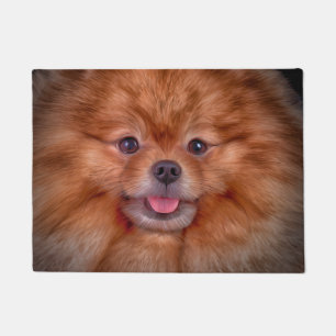 Felpudo Perro de Pomerania 2 de Pomeranian del perro del