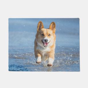 Felpudo Perro del Corgi Galés del Pembroke que corre en l