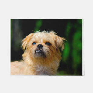 Felpudo Perro Griffon