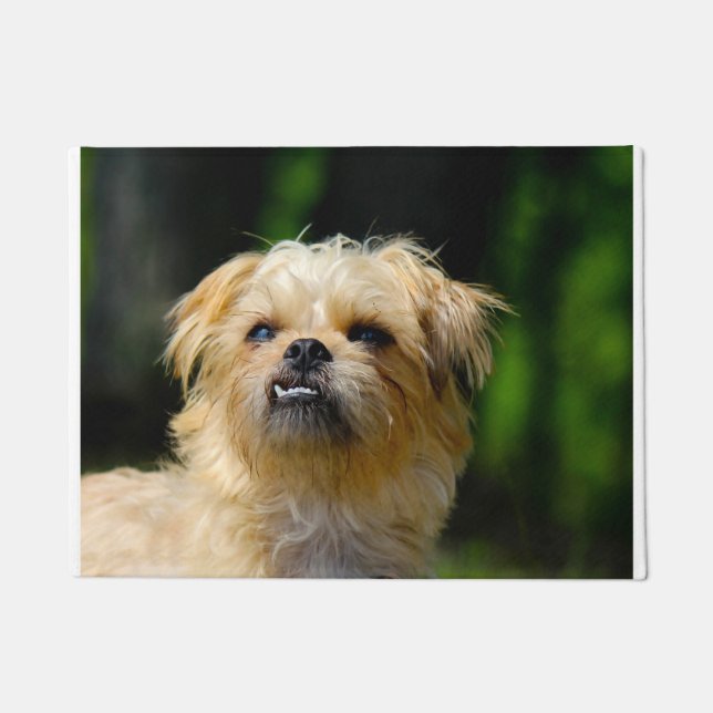 Felpudo Perro Griffon (Anverso)