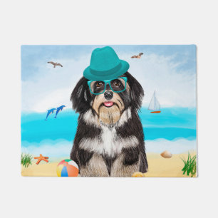 Felpudo Perro Havanés en la Playa