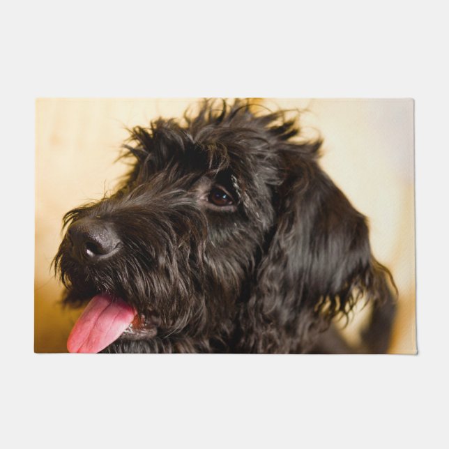 Felpudo Perro Labradoodle. (Anverso)