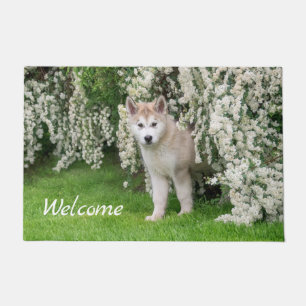 Felpudo Perro malamuta, de la Alaska, con foto de flores  