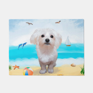 Felpudo Perro maltés en la playa