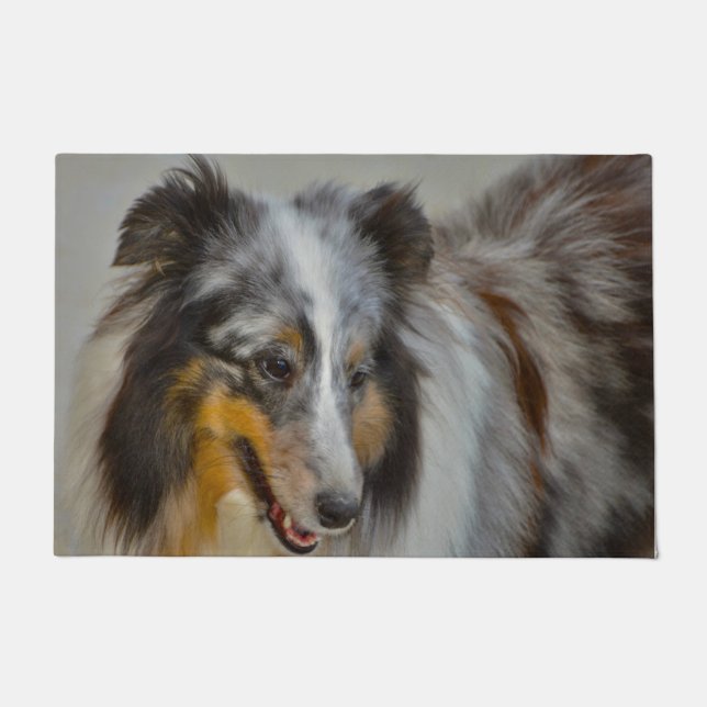 Felpudo Perro pastor de Shetland. (Anverso)