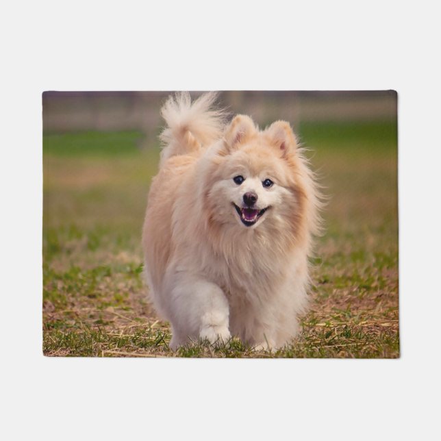 Felpudo Perro Pomerania. (Anverso)