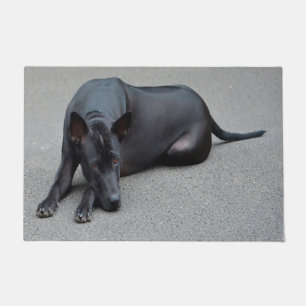 Felpudo Perro Ridgeback Tailandés