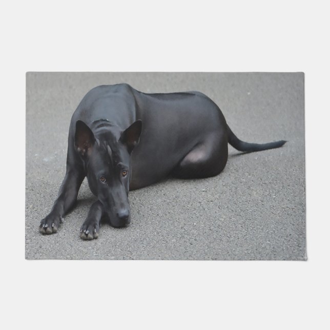 Felpudo Perro Ridgeback Tailandés (Anverso)