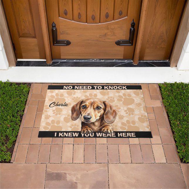 FELPUDO PERRO SALCHICHA DACHSHUND (Exterior)