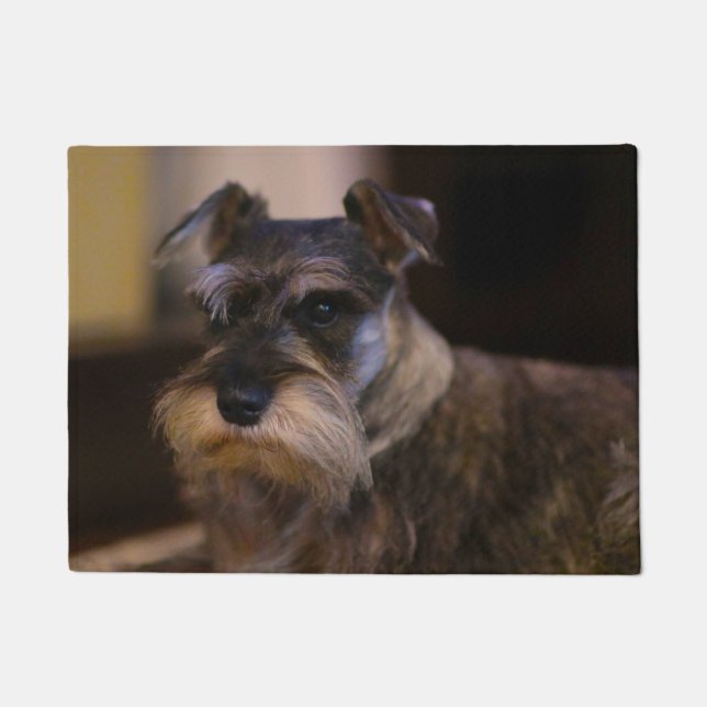 Felpudo Perro Schnauzer (Anverso)