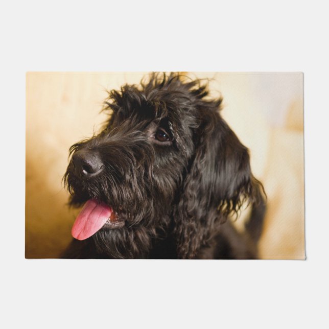 Felpudo Perro Schnauzer. (Anverso)