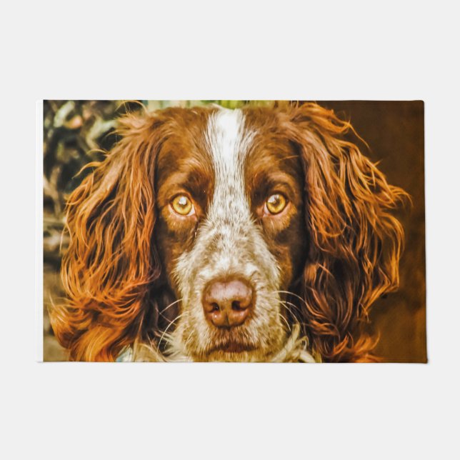 Felpudo Perro Springer Spaniel. (Anverso)