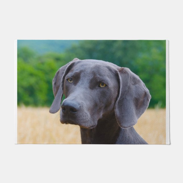 Felpudo Perro Weimaraner. (Anverso)