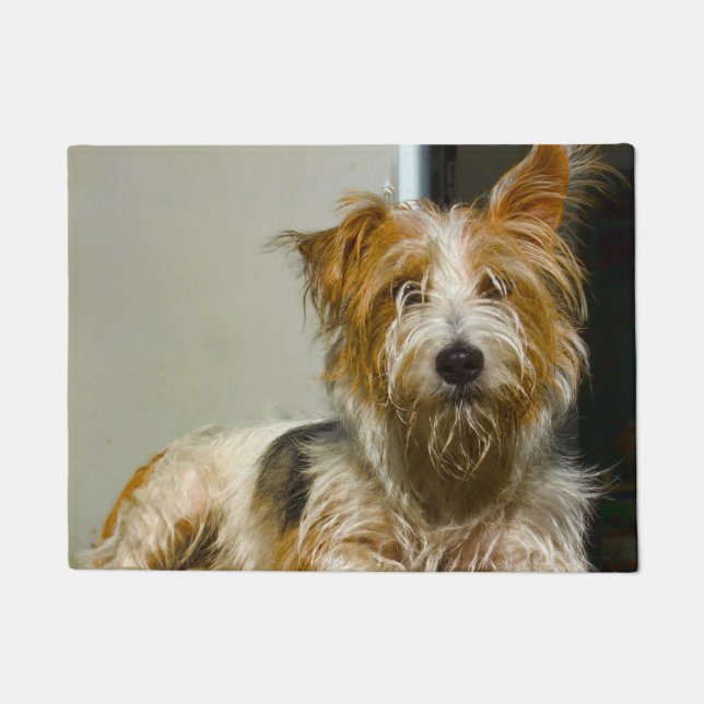 Felpudo Perro Westie. (Anverso)