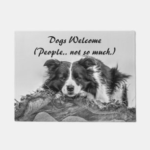 Felpudo Perros Bienvenidos Cita Divertida Border Collie