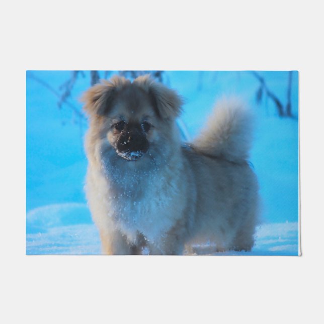 Felpudo Perros Spaniel Tibetano. (Anverso)