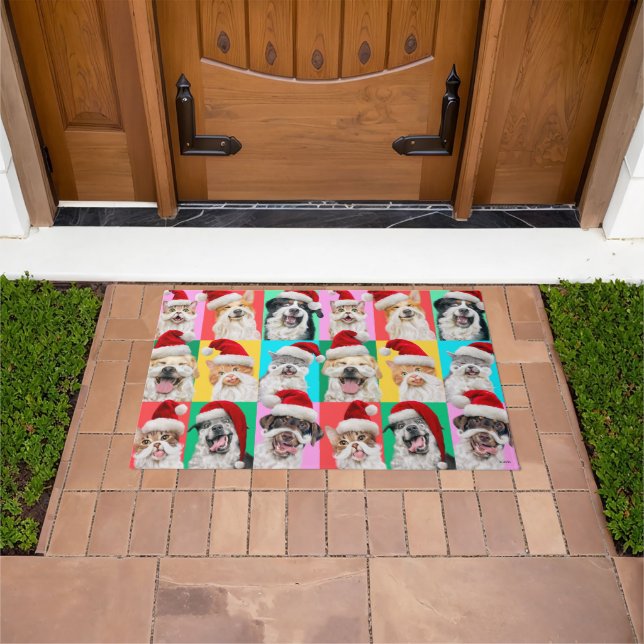 Felpudo Perros y Gatos con Barba de Santa (Exterior)