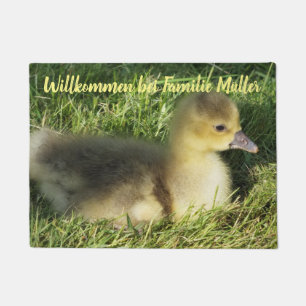 Felpudo Personalización, plantilla, animal, mascota, vivo,