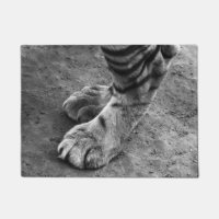 Pies de tigre Fotografía en blanco y negro
