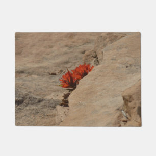 Felpudo Pincel indio en rocas en Zion