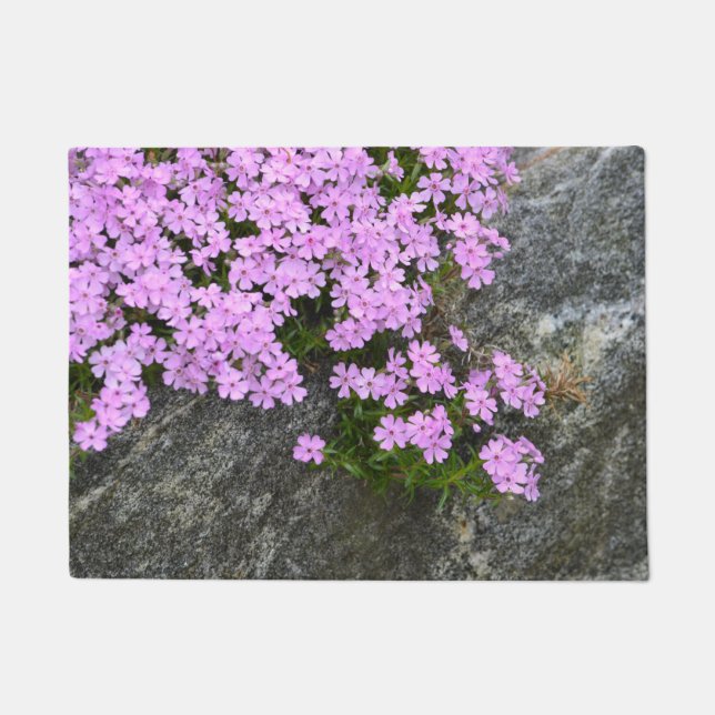 Felpudo Pink Phlox On Rocks (Anverso)
