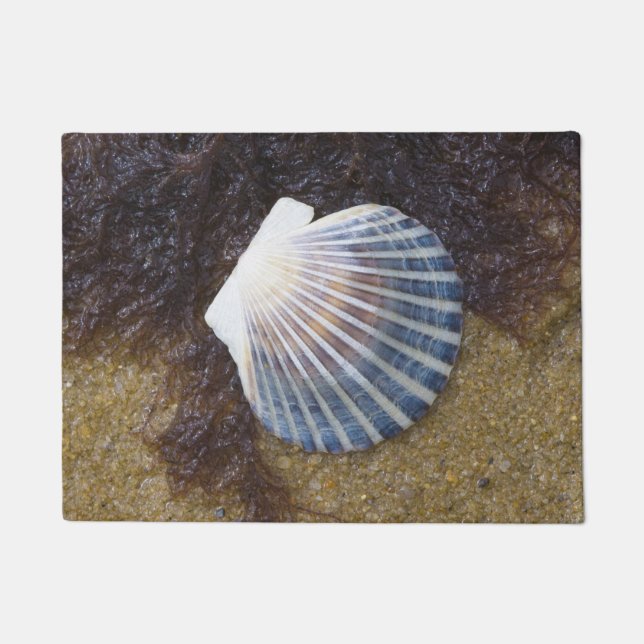 Felpudo Piscina de marea (Anverso)