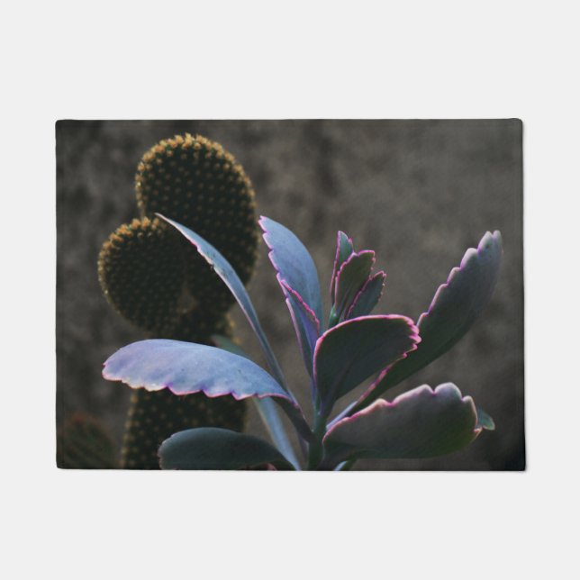 Felpudo Plantas del desierto (Anverso)
