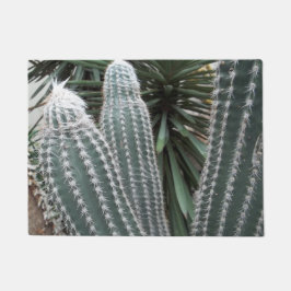 Felpudo Plantas del desierto Cactus Cacti del Suroeste