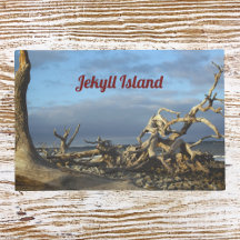 Playa de Driftwood en Jekyll Island Doormat