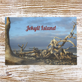 Felpudo Playa de Driftwood en Jekyll Island Doormat