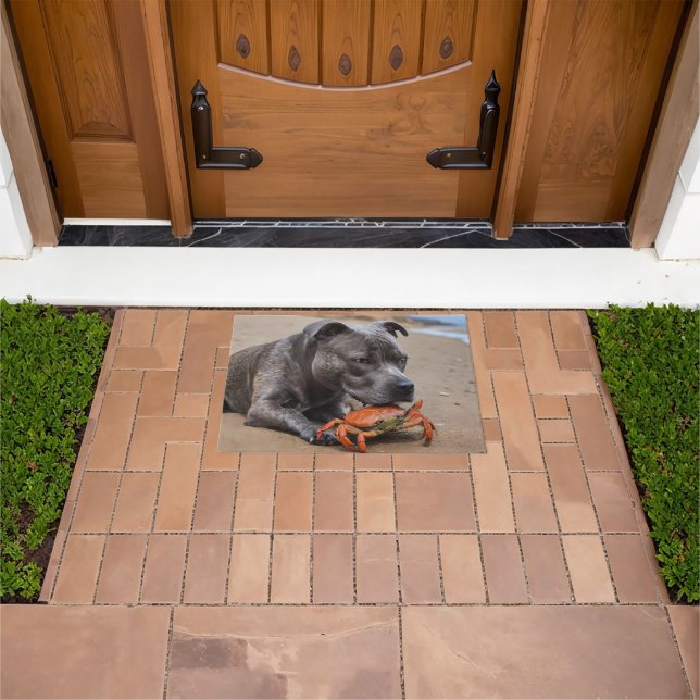 Felpudo "Playside Pals: un Staffy y su compañero de cangre (Exterior)