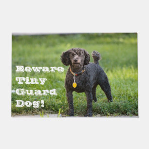Felpudo Poodle