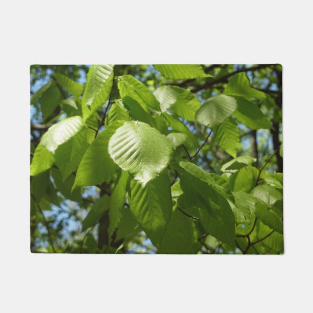 Felpudo Primavera Birch deja el árbol verde (Anverso)