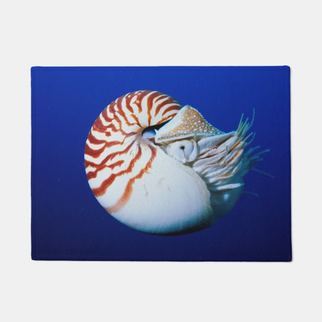 Felpudo Primer Plano De Nautilus Camerado (Anverso)