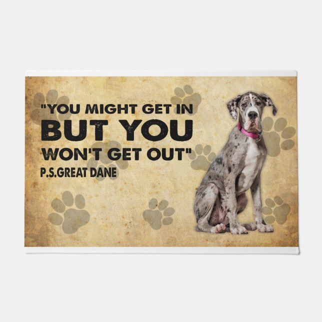 Felpudo Puedes entrar, pero no te vas a salir con buen dan (Anverso)