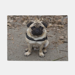 Felpudo Pug muy serio