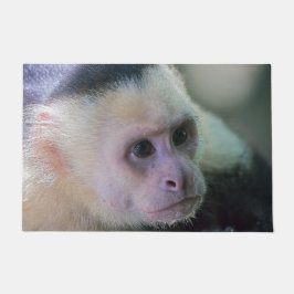 Felpudo Pura vida para el mono capuchino con cabeza blanca