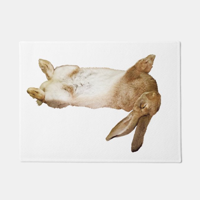 Felpudo rabbit door mat (Anverso)