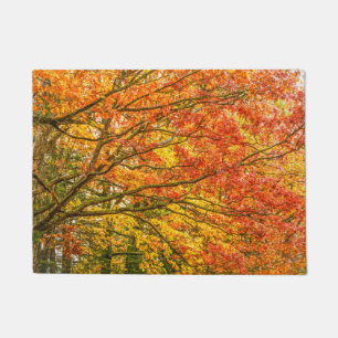 Felpudo Ramas de árbol Letchworth Naturaleza Naranja