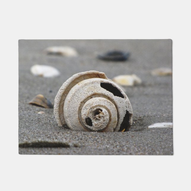 Felpudo Recepción del bucino del canal (Anverso)