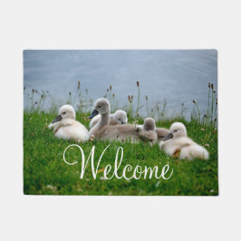 Felpudo Recepción linda de los bebés del cisne
