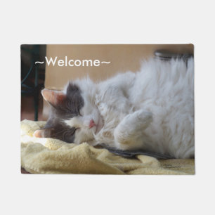 Felpudo Recepción linda el dormir Spiegeland del gato