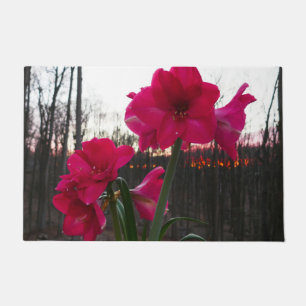 Felpudo Red Amaryllis y el amanecer invernal
