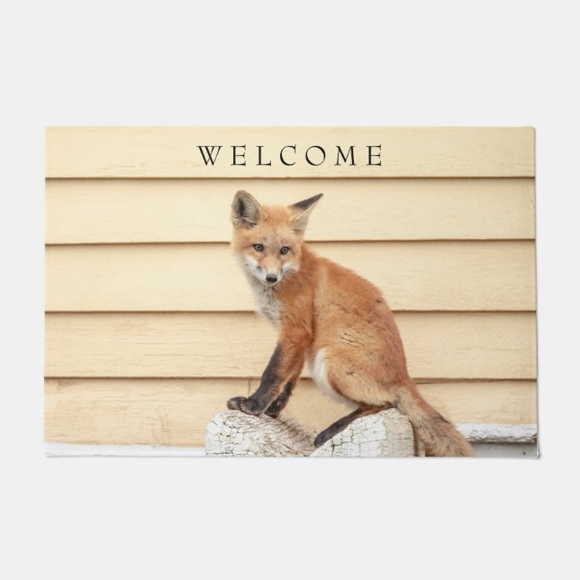 Felpudo Red Fox Kit en el Valle de Hudson (Anverso)