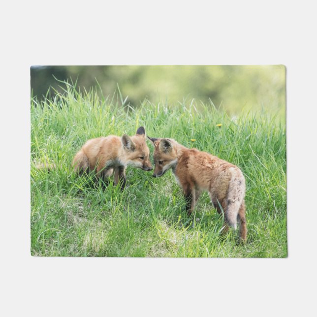 Felpudo Red Fox Kits (Anverso)