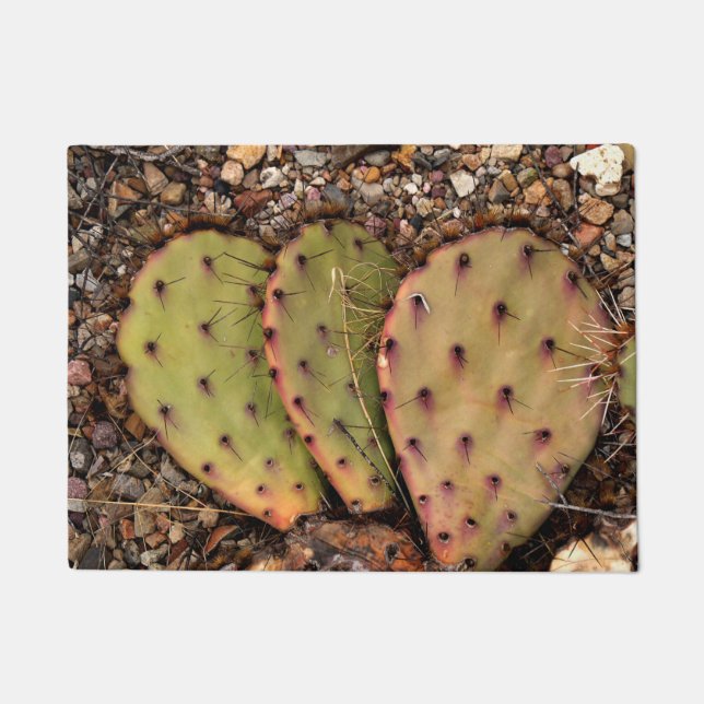 Felpudo Retrato de Cactus (Anverso)